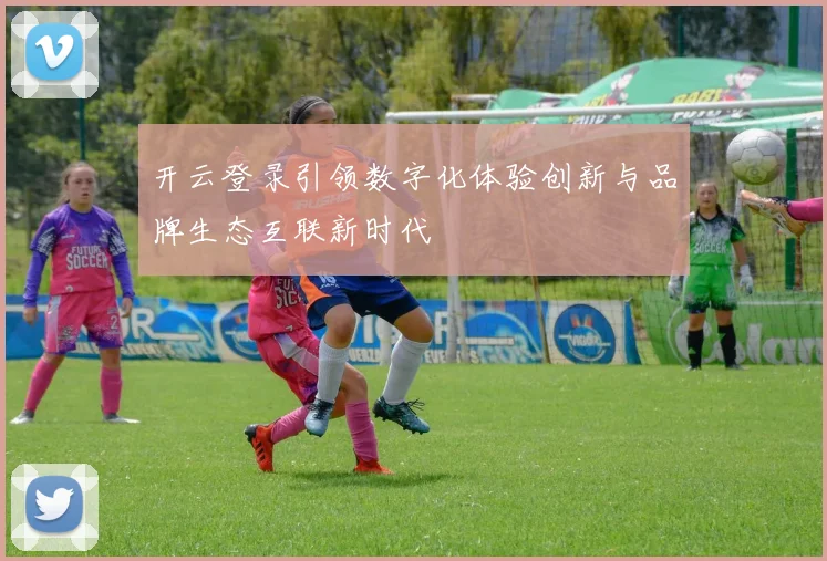 开云登录引领数字化体验创新与品牌生态互联新时代